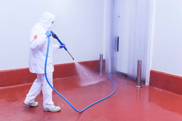 Best Driveway Pressure Washing  in Malmstrom Af, MT